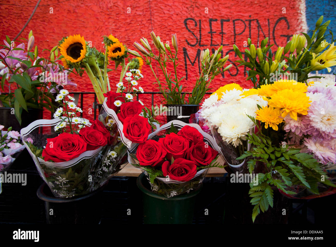 Negozio di fiori, downtown Manhattan vicino Delancy e Essex, New York, Stati Uniti d'America Foto Stock