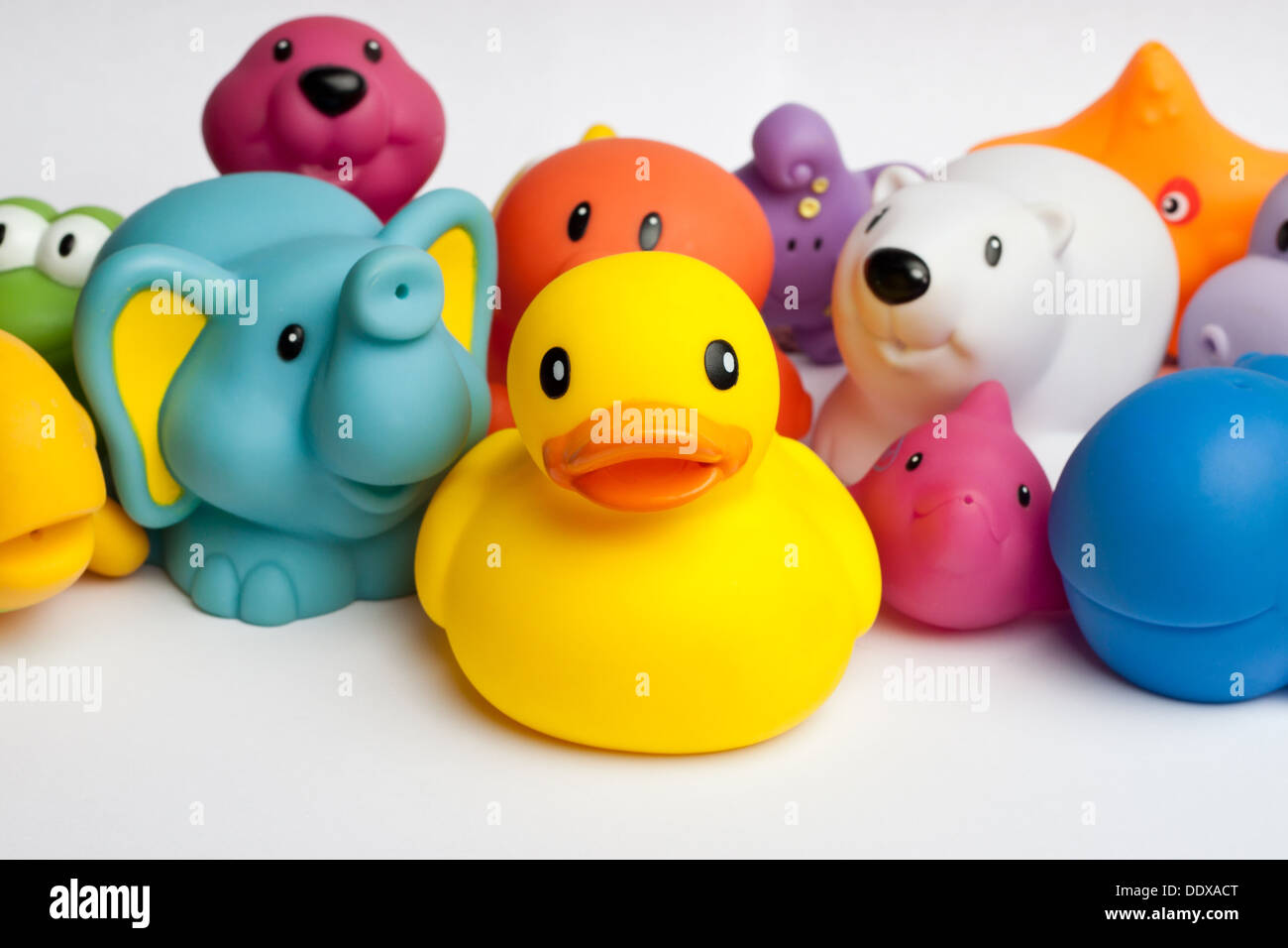 Rubber Duck e amici contro uno sfondo bianco Foto Stock