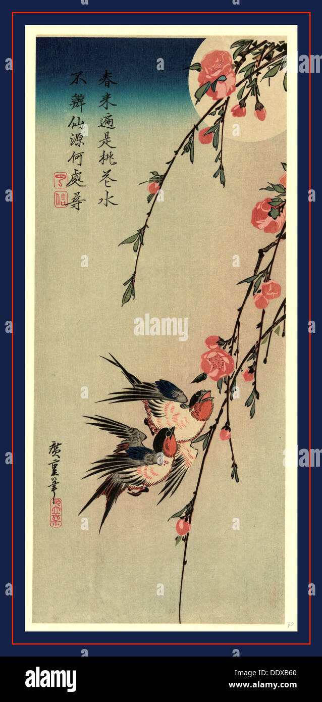 Gekka momo ni tsubakura, Luna Hiroshige, 1797-1858, [185-, stampato in seguito], 1 stampa : xilografia, colore., stampa mostra due passeri Foto Stock