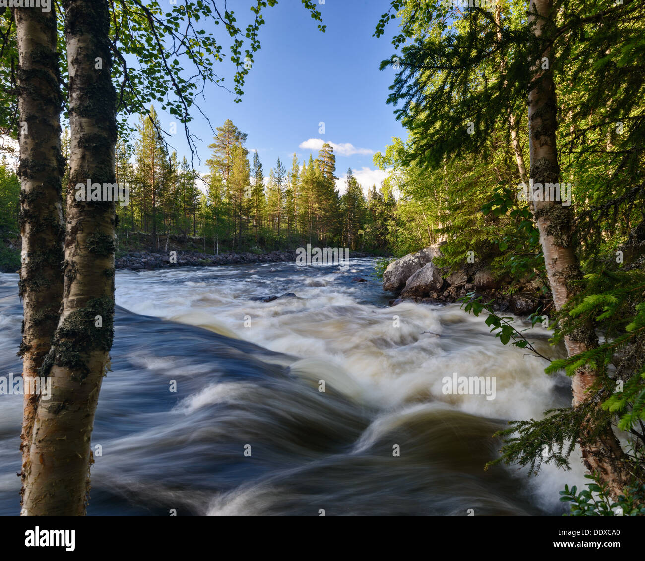 Fiume Sörälven, Älvdalen kommun, Dalarna, Svezia Foto Stock