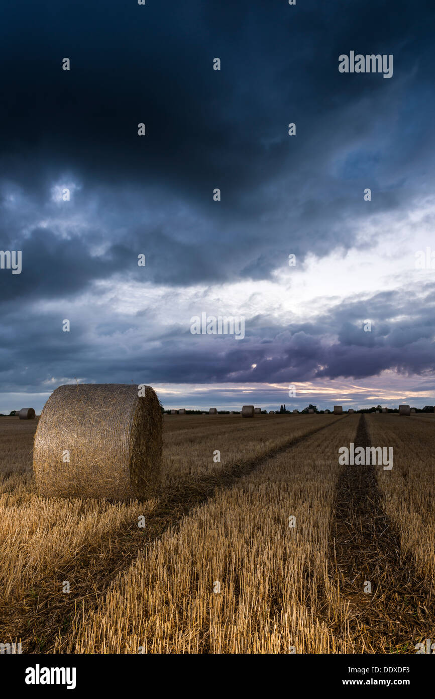 Le balle di paglia attendono raccolta dopo il raccolto come aria di tempesta overhead. Foto Stock