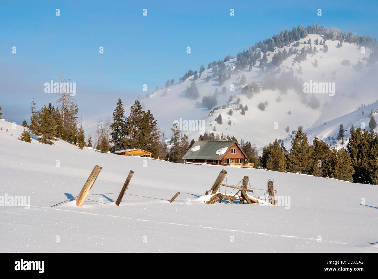 Cabina in montagna con una foresta Foto Stock