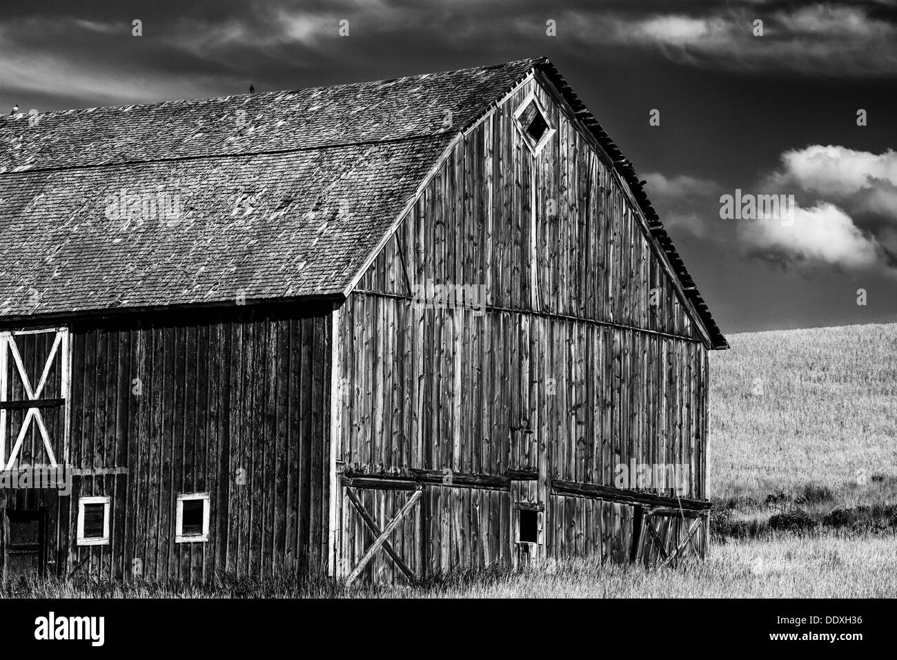 In bianco e nero di un vecchio fienile nel Palouse regione agricola del sé nello Stato di Washington, USA Foto Stock