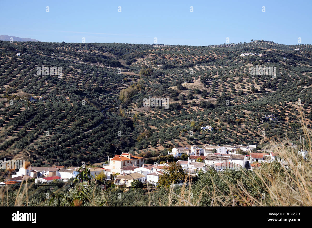 Vista del villaggio imbiancate a calce (pueblo blanco)e la campagna circostante, zagra, provincia di Granada, Andalusia, Spagna, Europa. Foto Stock