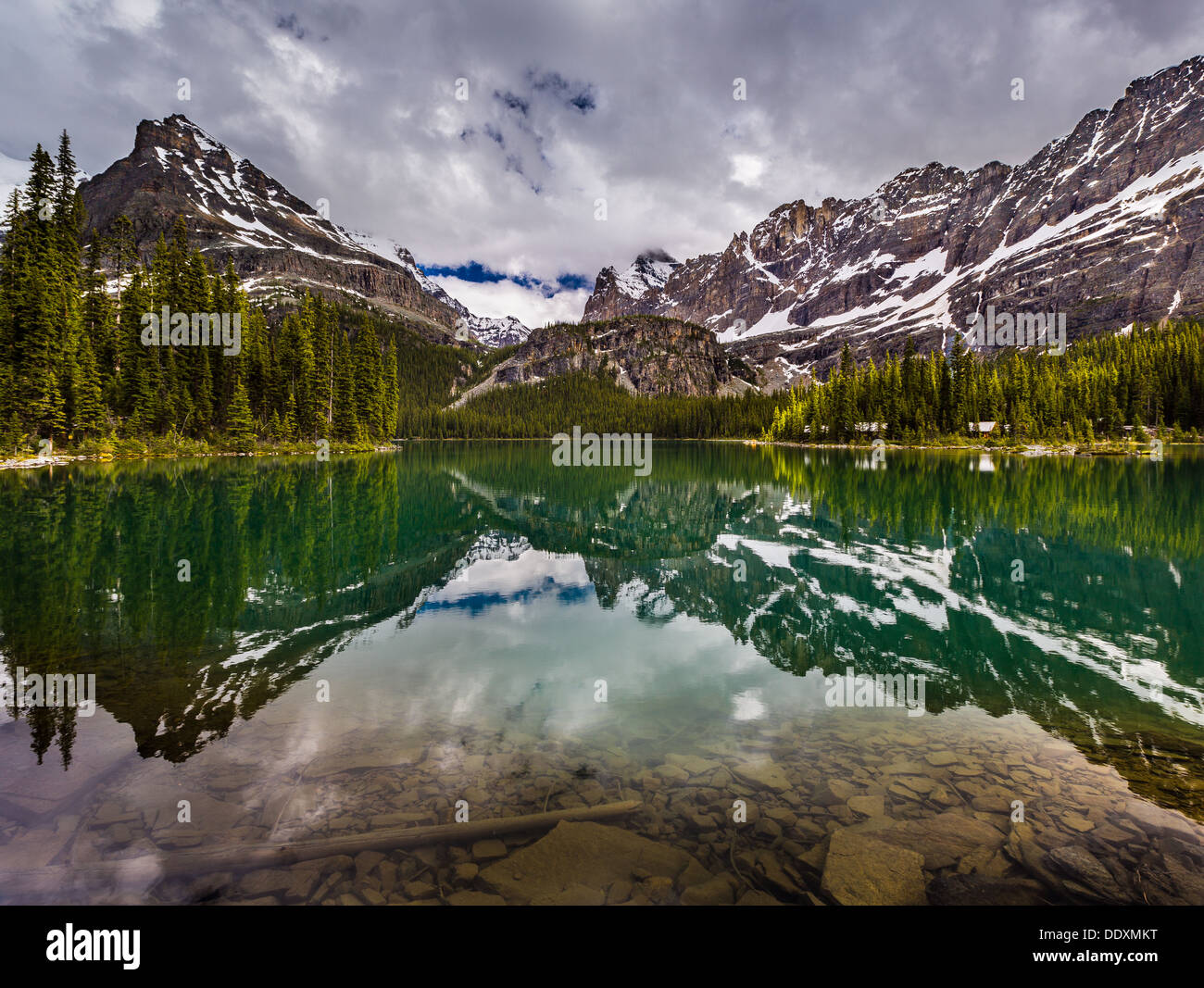 Luce della sera presso il lago O'Hara - Lago di O'Hara, Parco Nazionale di Yoho, Canada Foto Stock