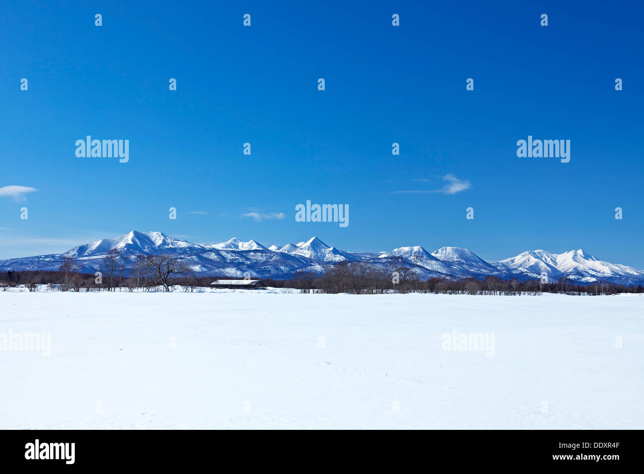 Campo di neve e le montagne in Shibetsu, Hokkaido Foto Stock