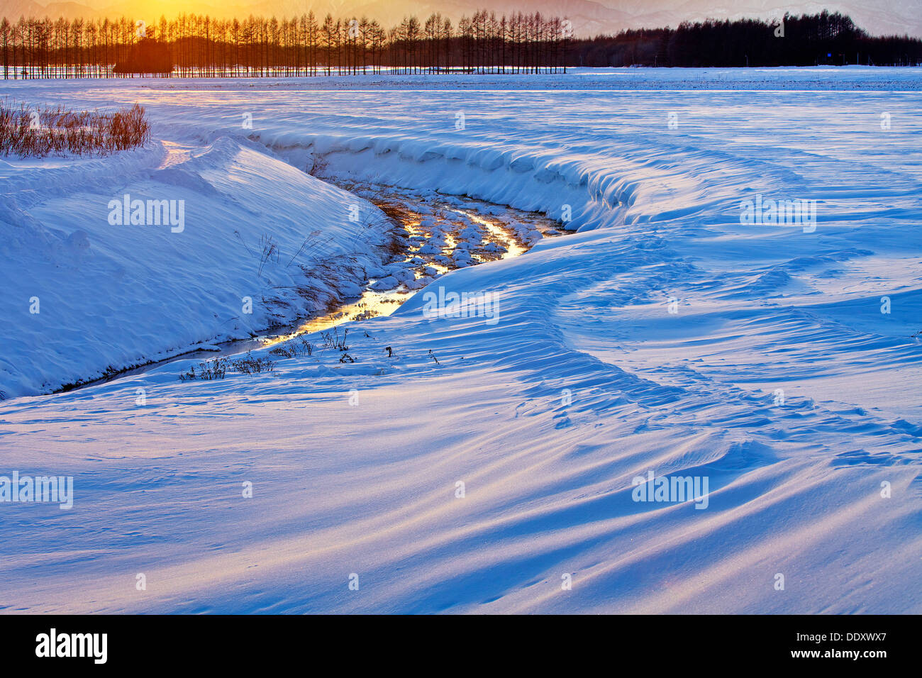 Campo di neve al tramonto, Hokkaido Foto Stock