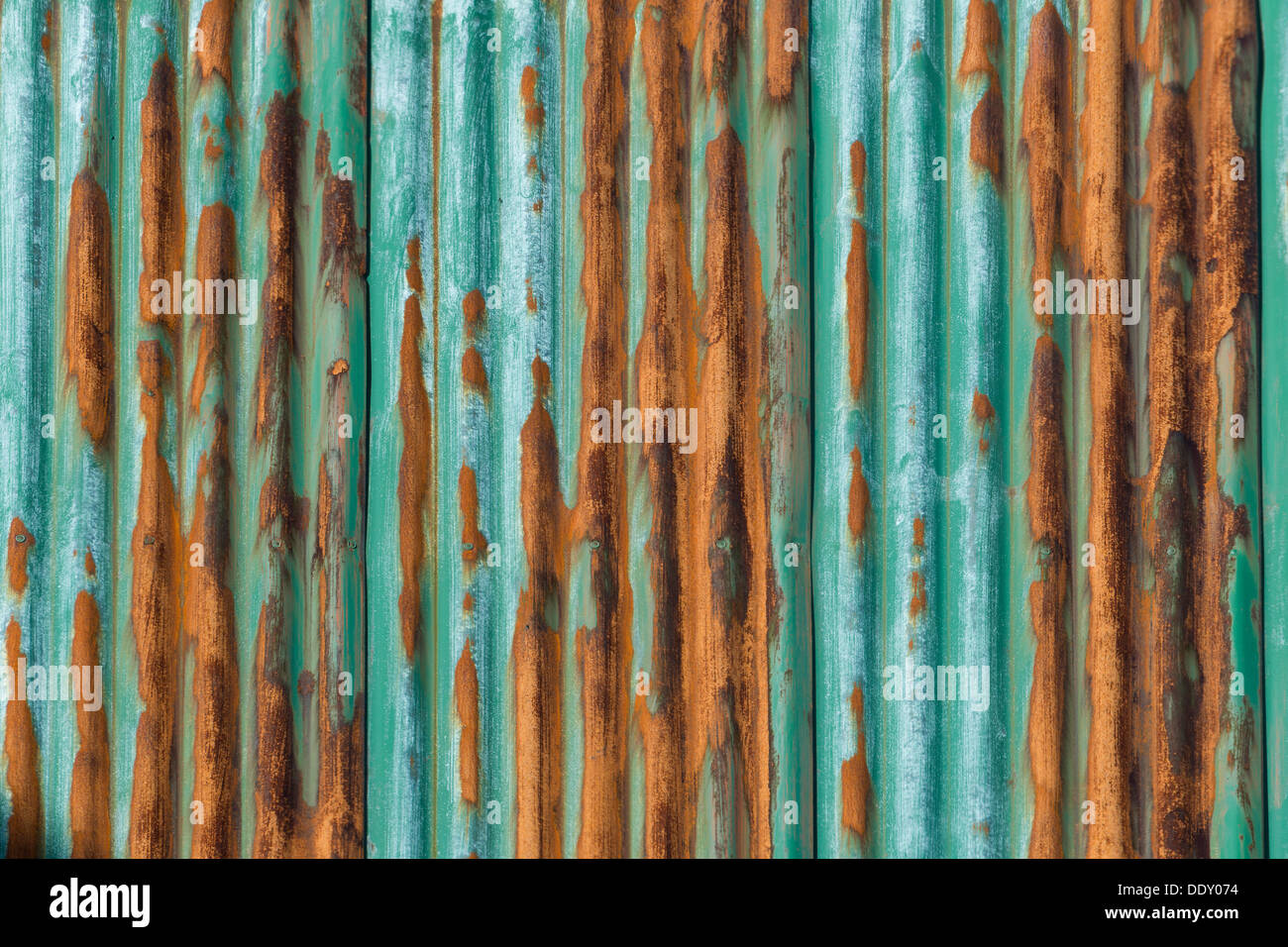 Rusty, verde-dipinto corrugato parete di ferro Foto Stock