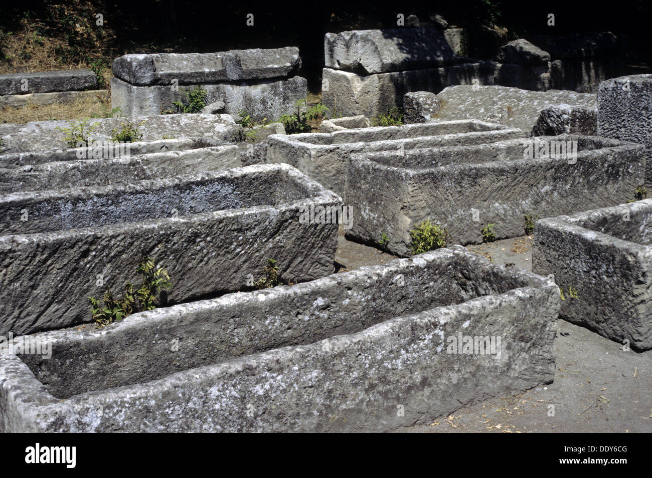 Francia, Provenza, Arles, rovine della necropoli di Les Alyschamps Foto Stock