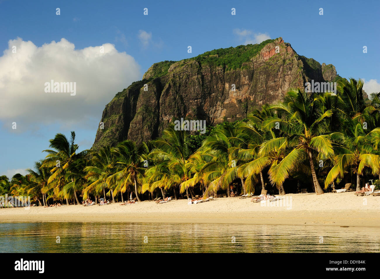 Il Mont Brabant montagna che sorge dietro palme sulla spiaggia sabbiosa Foto Stock