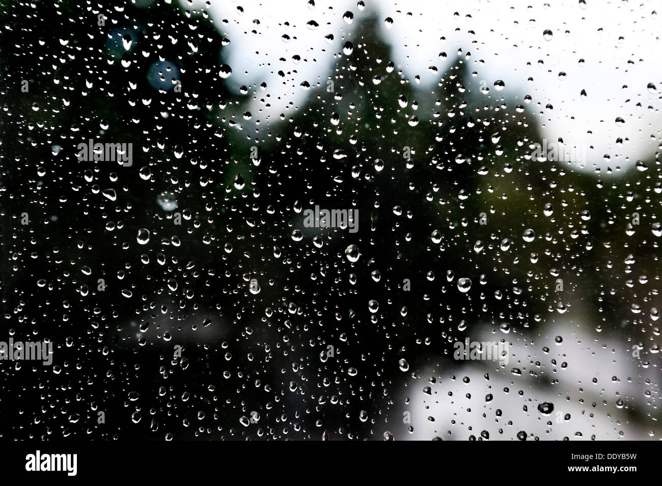 Gocce di pioggia su un vetro di finestra Foto Stock