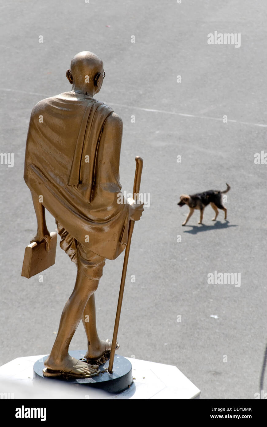Statua di Gandhi, cane, Shimla, India, Asia Foto Stock