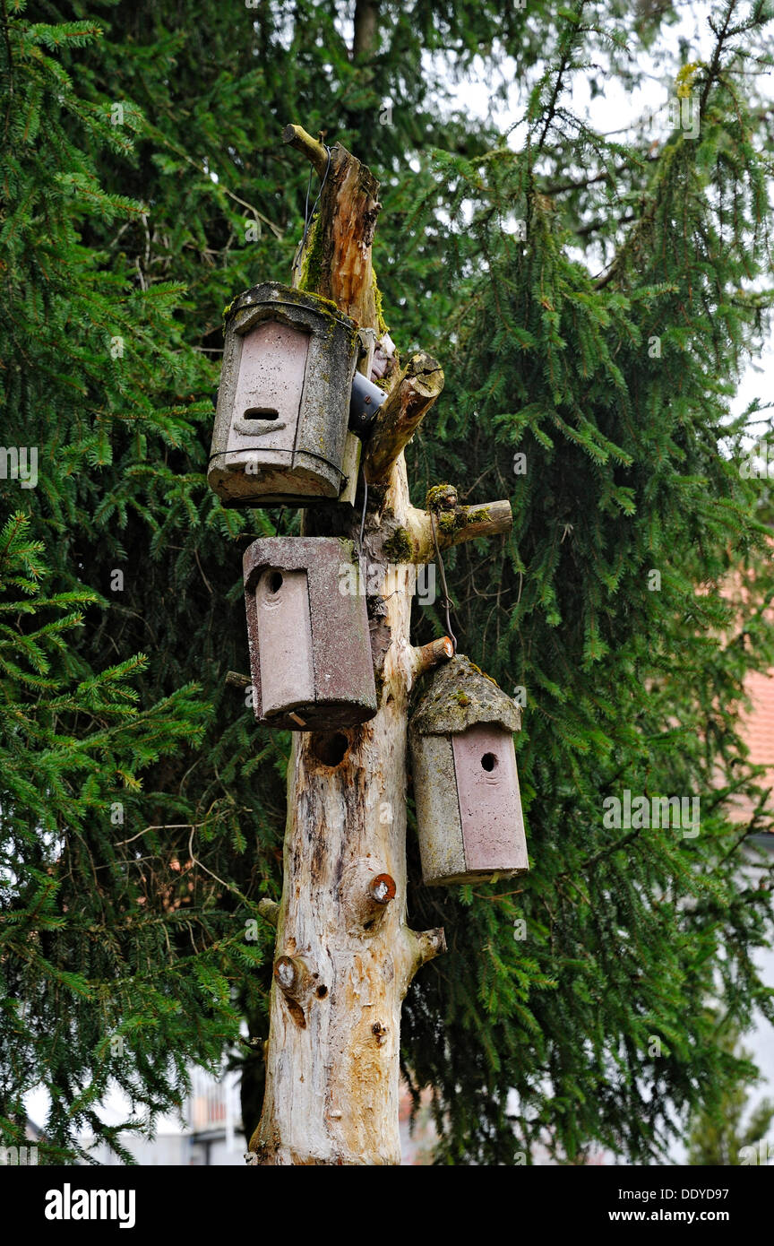 Nesting scatole su un albero morto, Monaco di Baviera Foto Stock