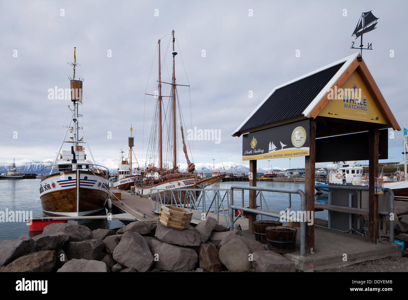 Osservazione di balene centro e porto, husavik, Nord Islanda, Islanda, europa Foto Stock