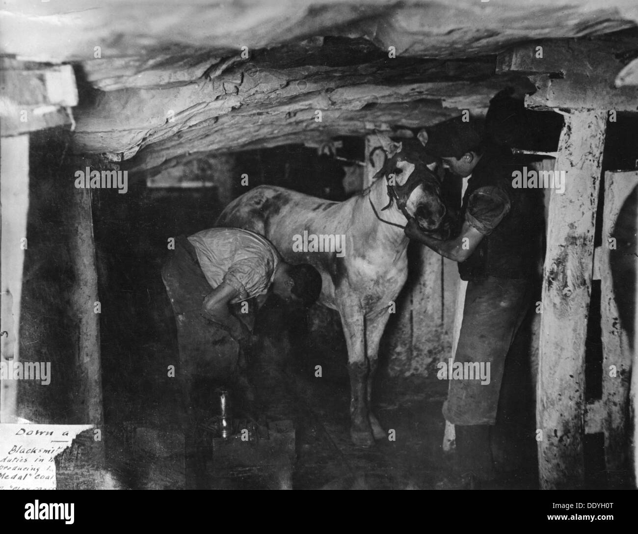 Un fabbro e il suo scontrino frequentando un pit pony, Clay Cross Colliery, Derbyshire, c1910. Artista: Albert Heath Foto Stock