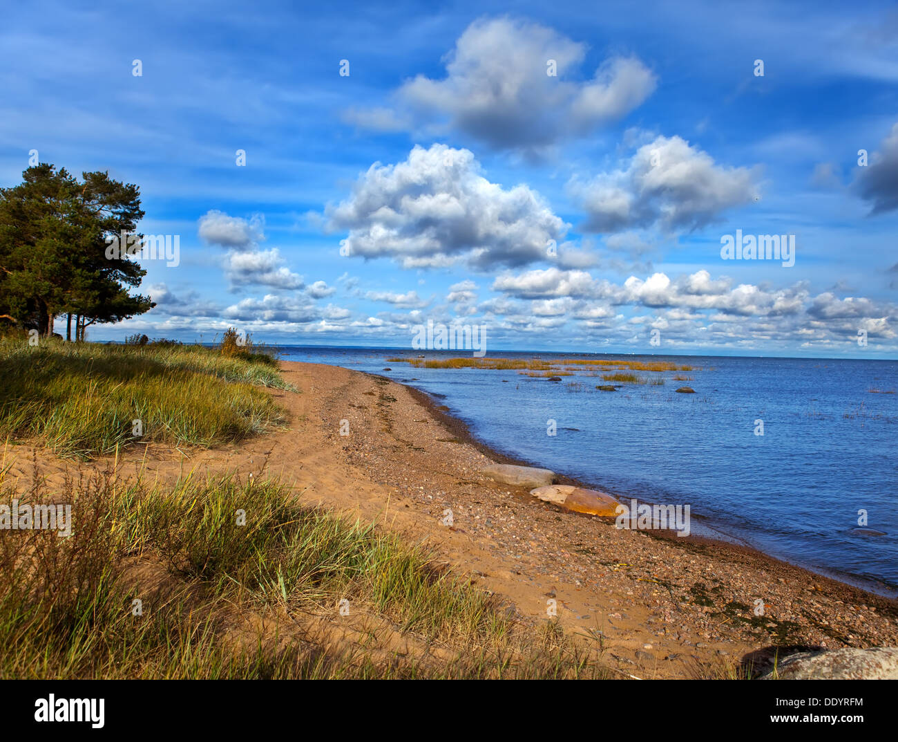 La Russia. costa sabbiosa del Golfo di Finlandia Foto Stock