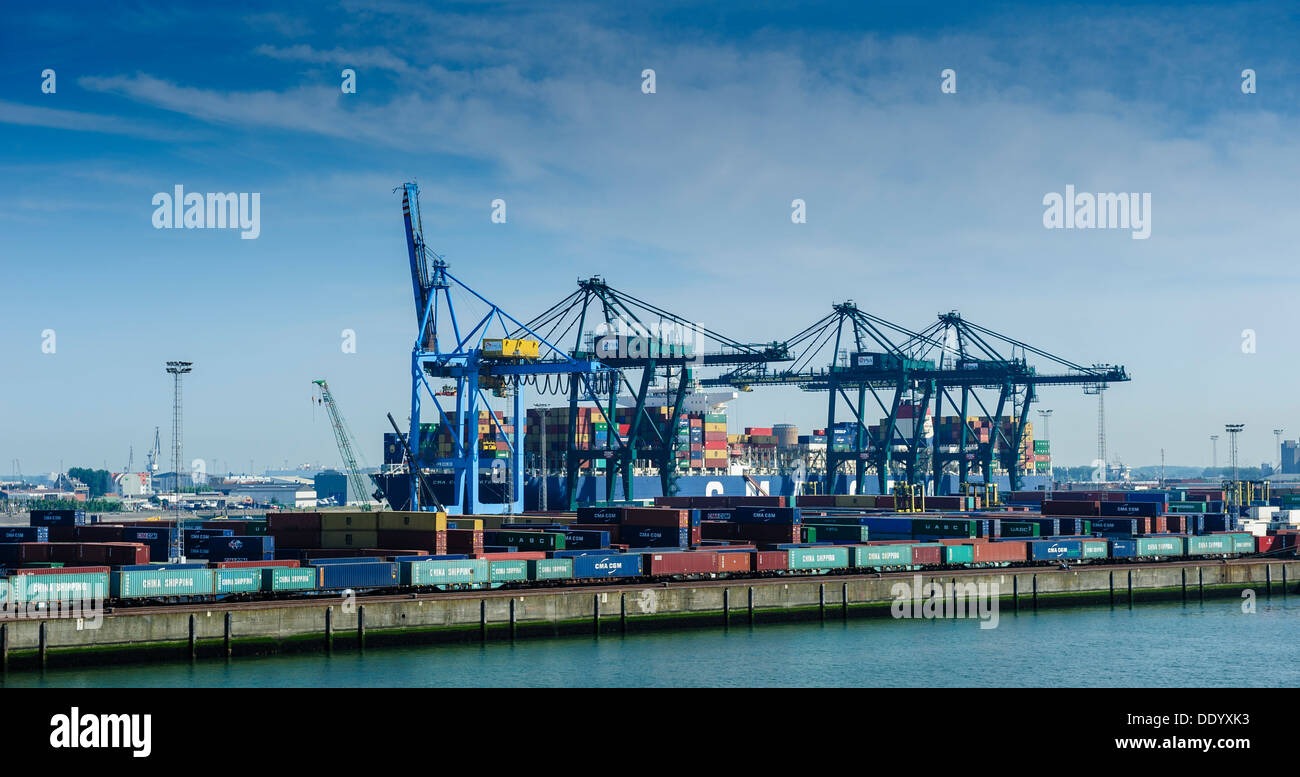 Una nave portacontainer essendo caricati nel porto di Zeebrugge, Belgio. Foto Stock