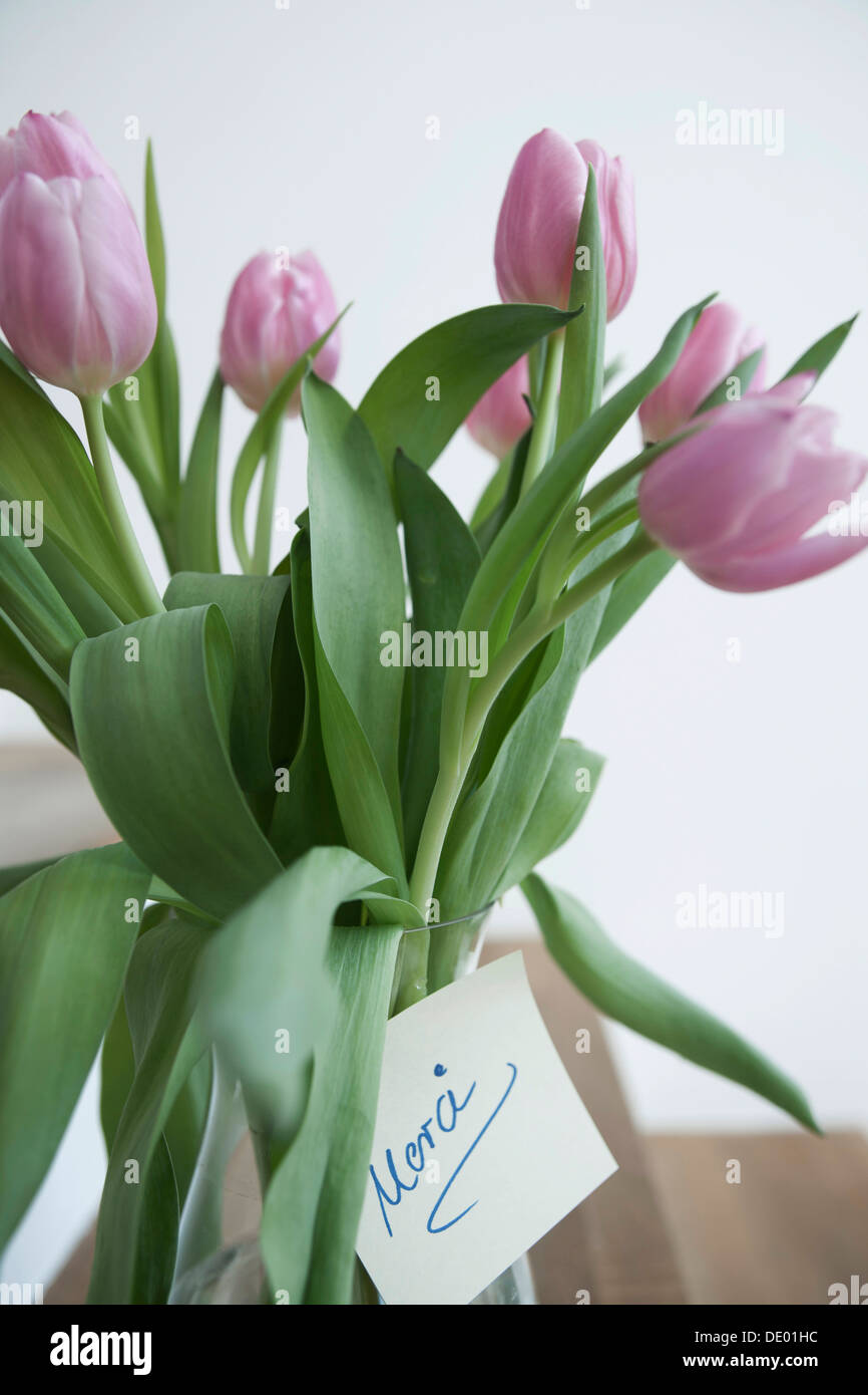 I tulipani in un vaso con la nota 'merci' Foto Stock