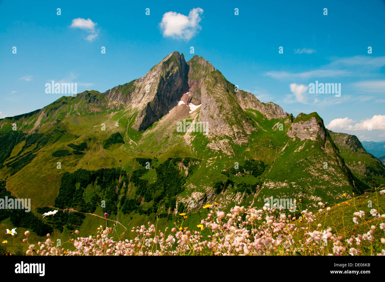 Il lato est del monte Hoefats, 2259m, Laufbacher Eck-Weg sentiero escursionistico, Allgaeu Alpi, Allgaeu, Baviera, PublicGround Foto Stock