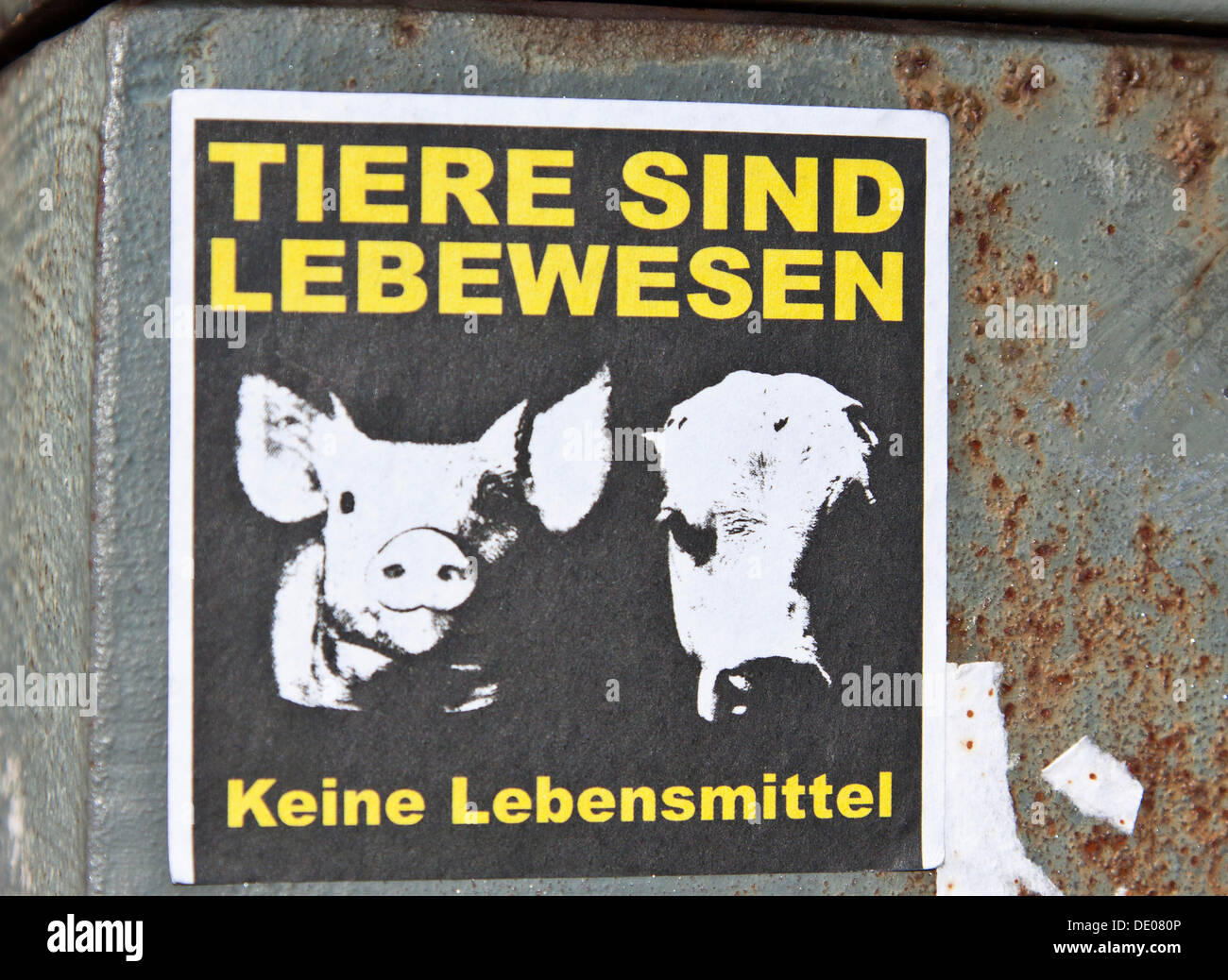 Adesivo "Tiere sind Lebewesen - Keine Lebensmittel', tedesco per "gli animali sono esseri viventi non alimentare", Berlino Foto Stock