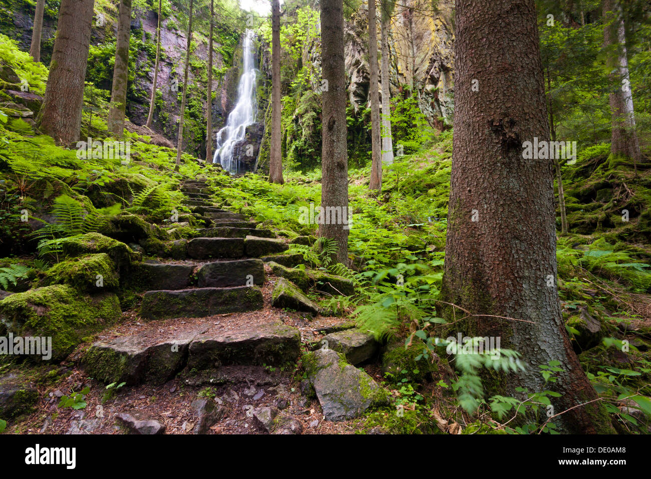 Scale di pietra a cascata Burgbach vicino Schapbach, Foresta Nera, Baden-Wuerttemberg Foto Stock