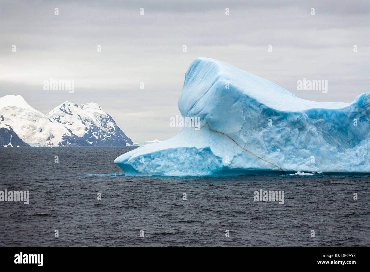 Blu iceberg off Laurie Island, Washington stretto, Orcadi del Sud, Oceano Meridionale, Antartide Foto Stock
