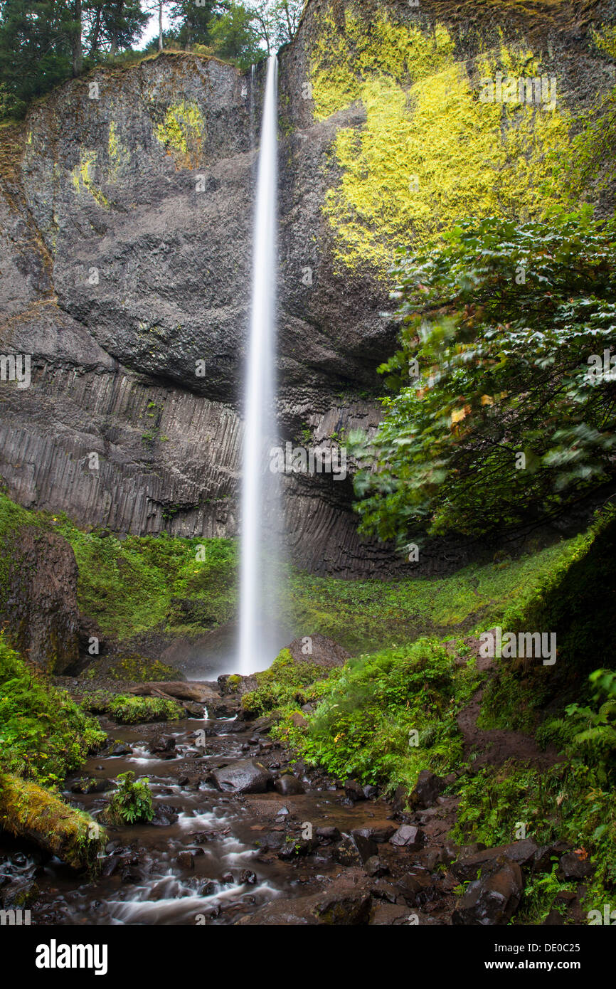 Latourell cade a Guy W Talbot parco dello stato in Columbia River Gorge, Oregon, Stati Uniti d'America Foto Stock