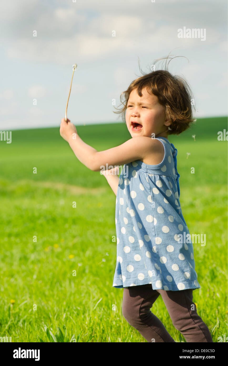 Bambina in esecuzione in campo, scattering semi di dente di leone nel vento  Foto stock - Alamy