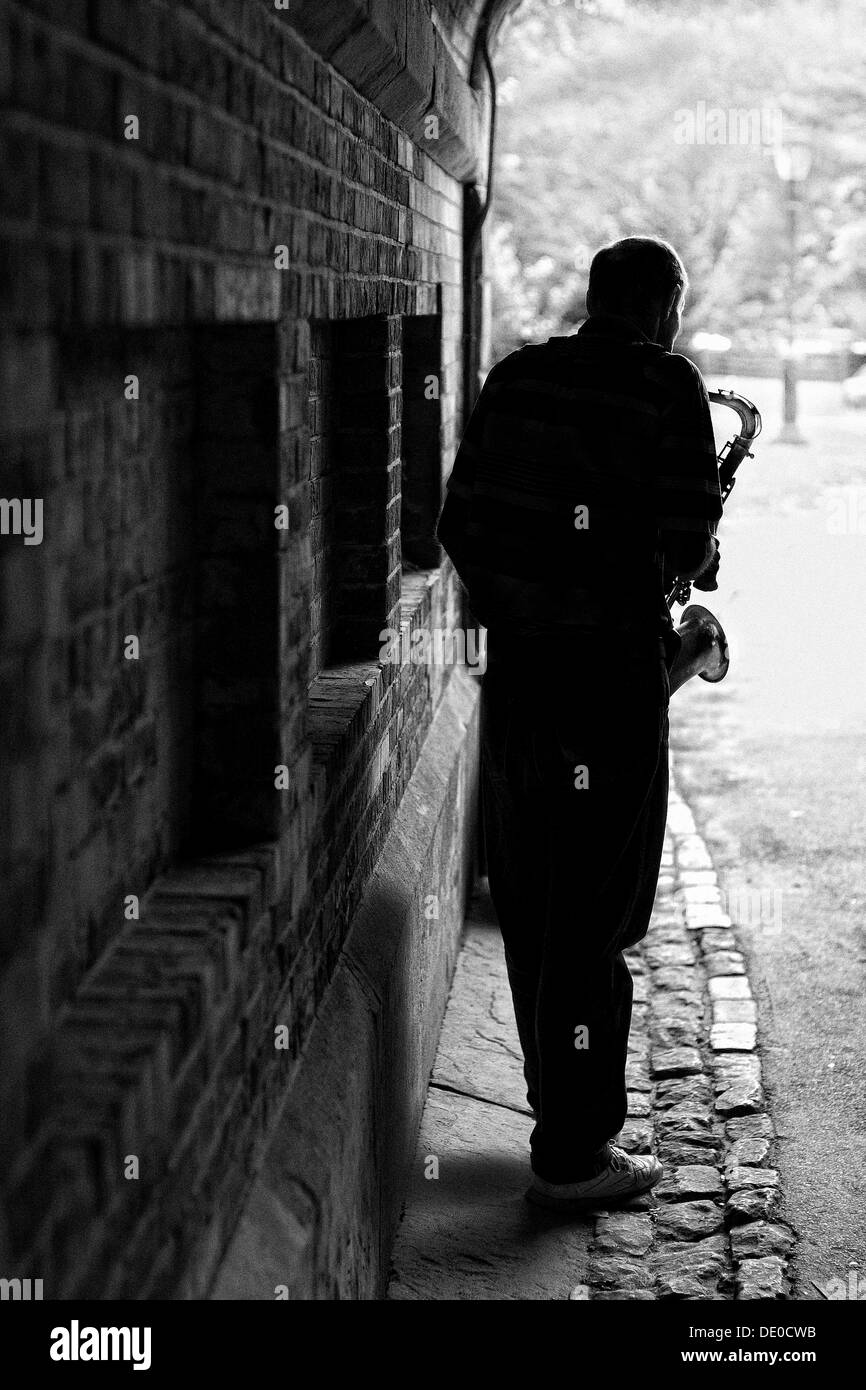 Un musicista di strada a Central Park di New York, Stati Uniti d'America Foto Stock