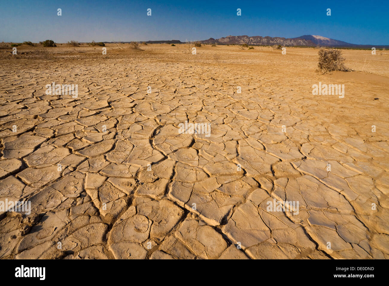 Il paesaggio del deserto del Danakil depressione Foto Stock
