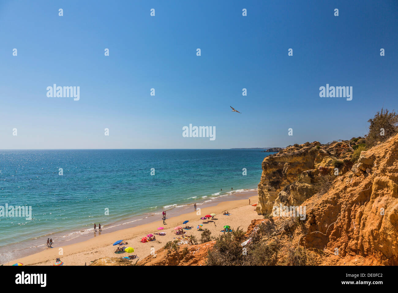 Spiaggia Praia da Rocha, Portimão, Algarve, Atlantico, Portogallo, Europa Foto Stock