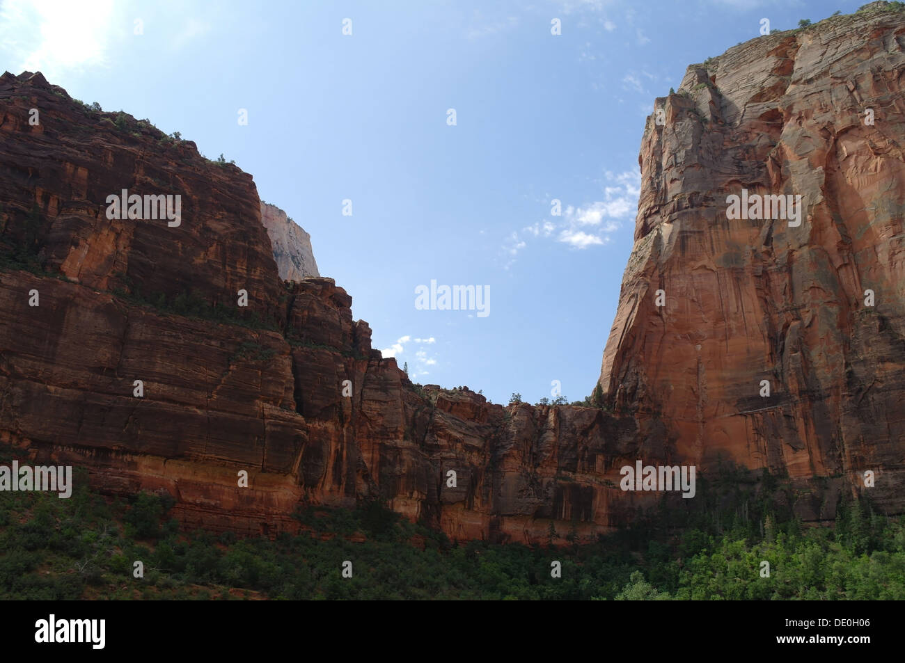 Cielo blu vista da Scenic Drive, col rilievi tra gli angeli lo sbarco e l'organo, Big Bend, Zion Canyon dello Utah, Stati Uniti d'America Foto Stock