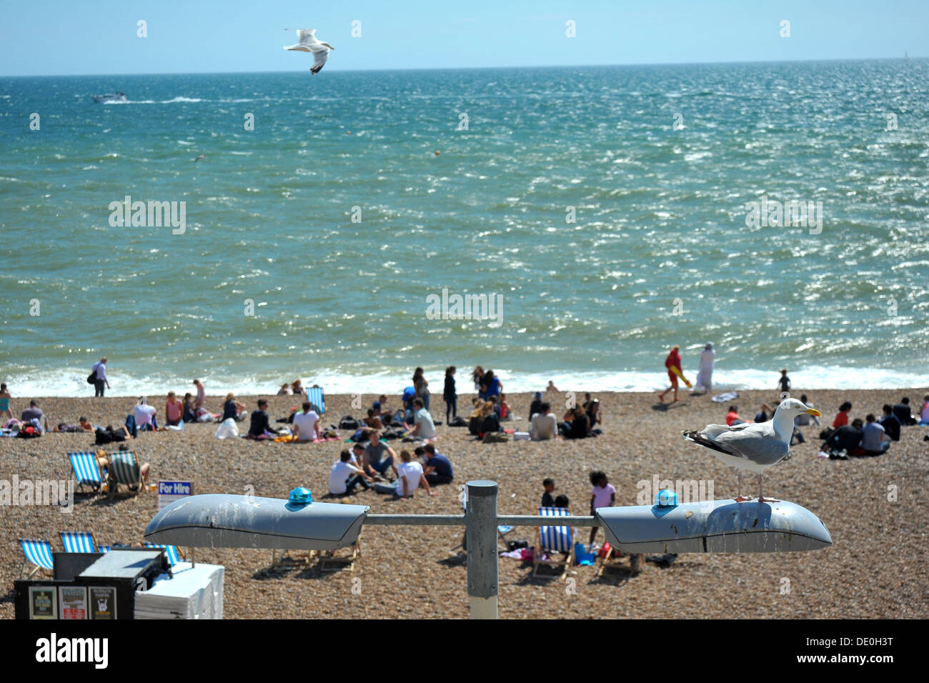 Un gabbiano posatoi sulla cima di un lampione con una spiaggia affollata in background. Foto Stock