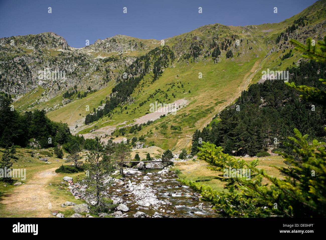 Il paesaggio dei Pirenei, Pirenei francesi, parco nazionale vicino a Argeles-gazost, midi-Pyrenees regione Foto Stock