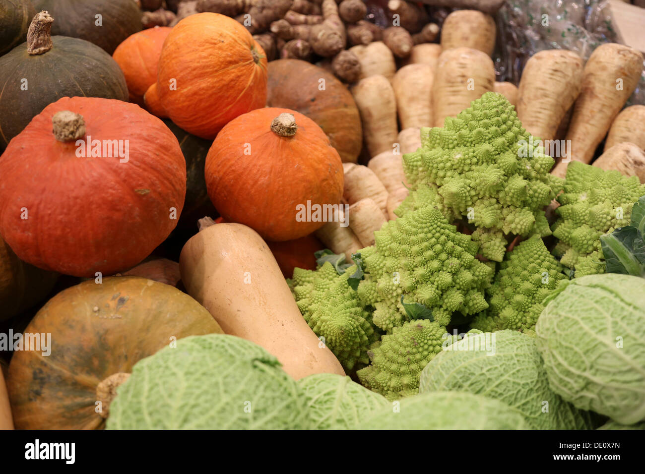 Zucche, pastinaca, Romanesco e cavolo verza in corrispondenza di un supporto a Fruit Logistica Foto Stock