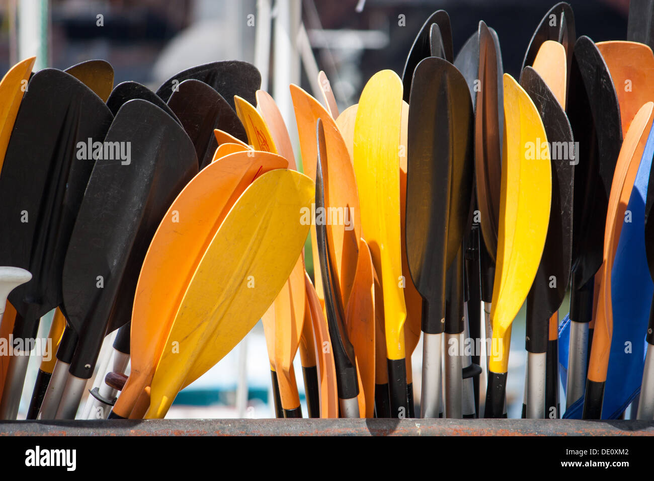Kayak pagaie in sun Foto Stock