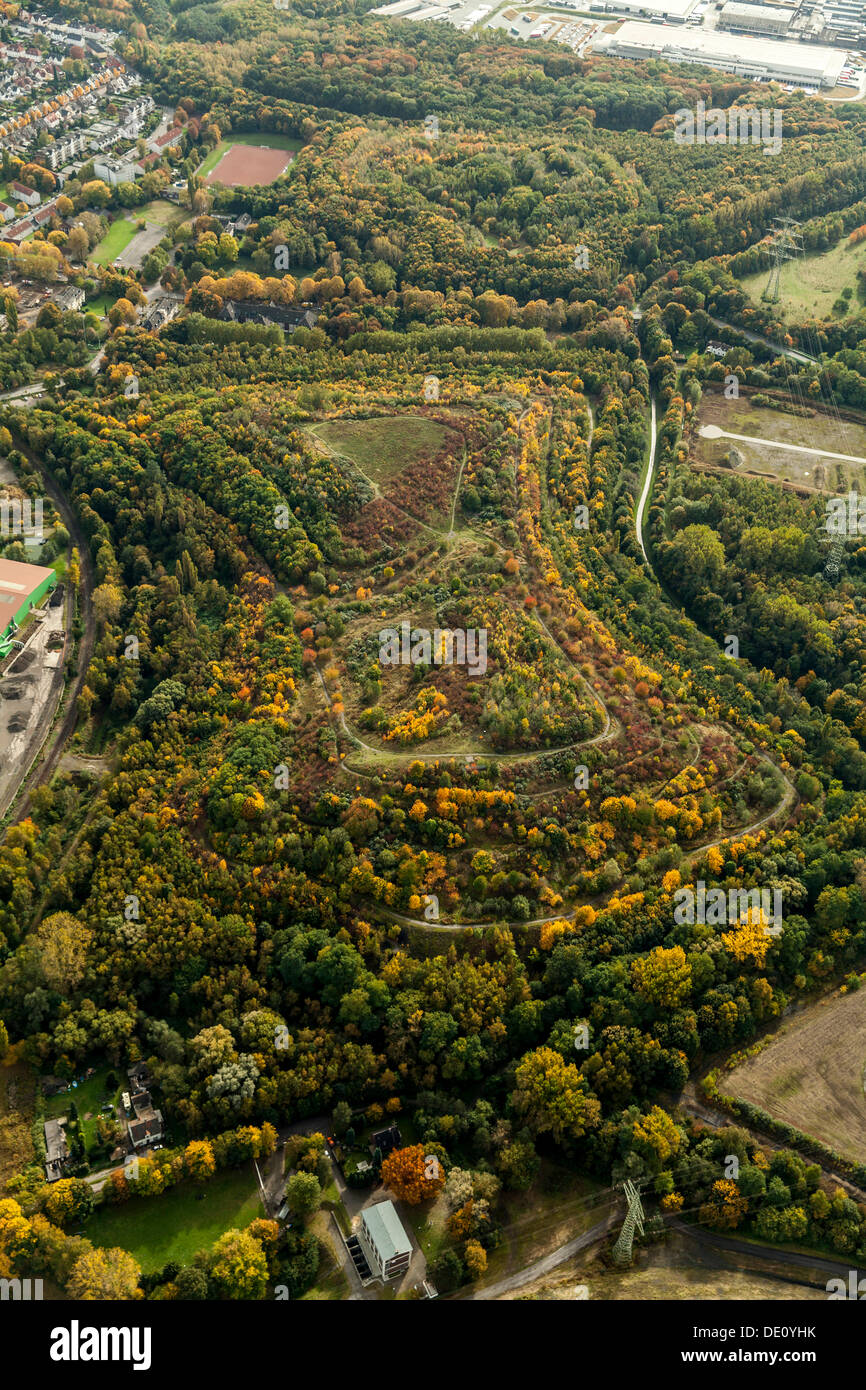 Vista aerea, Halde 22 heap, autunno, Brauckstrasse, Gladbeck, regione della Ruhr, Renania settentrionale-Vestfalia Foto Stock