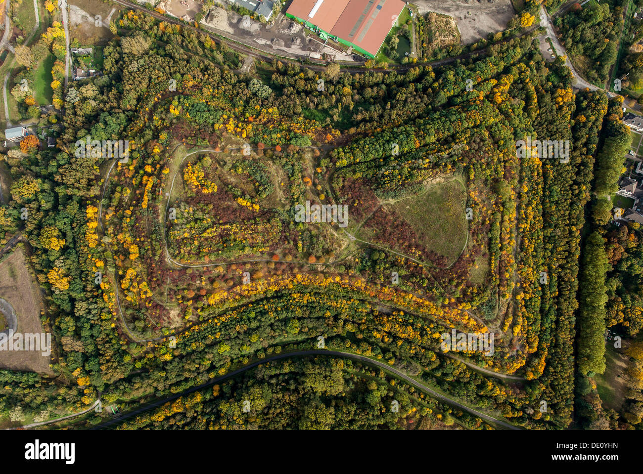 Vista aerea, Halde 22 heap, autunno, Brauckstrasse road, Gladbeck, regione della Ruhr, Renania settentrionale-Vestfalia Foto Stock