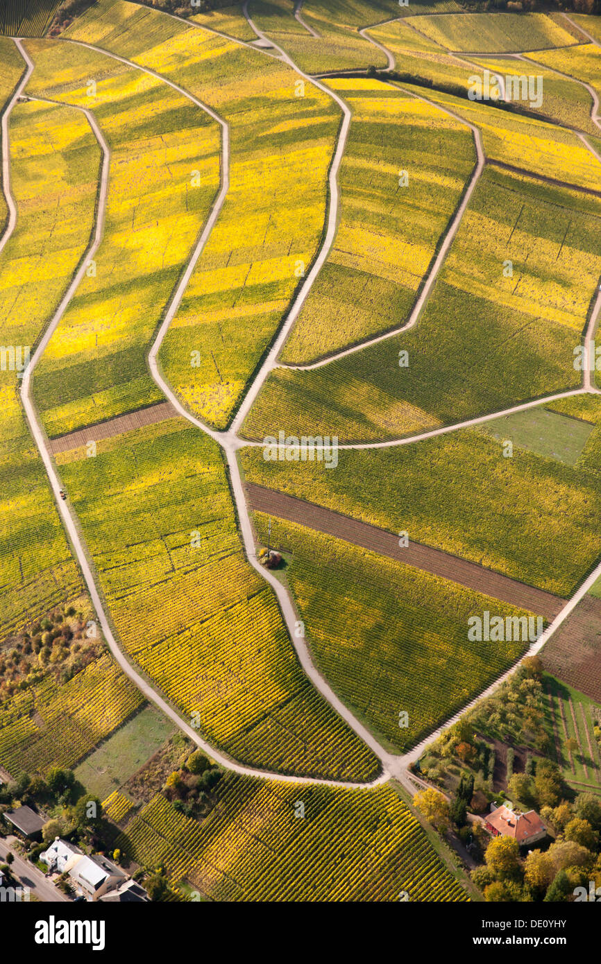 Vista aerea, vigneti autunnali nella valle della Mosella sul lato di Lussemburgo, Wellenstein, LUSSEMBURGO, Europa Foto Stock