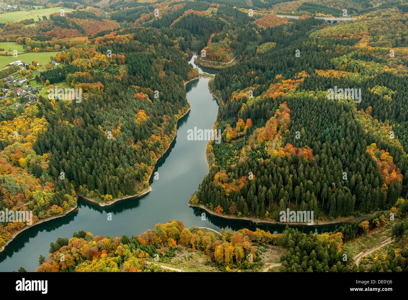 Vista aerea, serbatoio Sengbachtalsperre, autunno, Solingen, Bergisches Land regione Renania settentrionale-Vestfalia Foto Stock