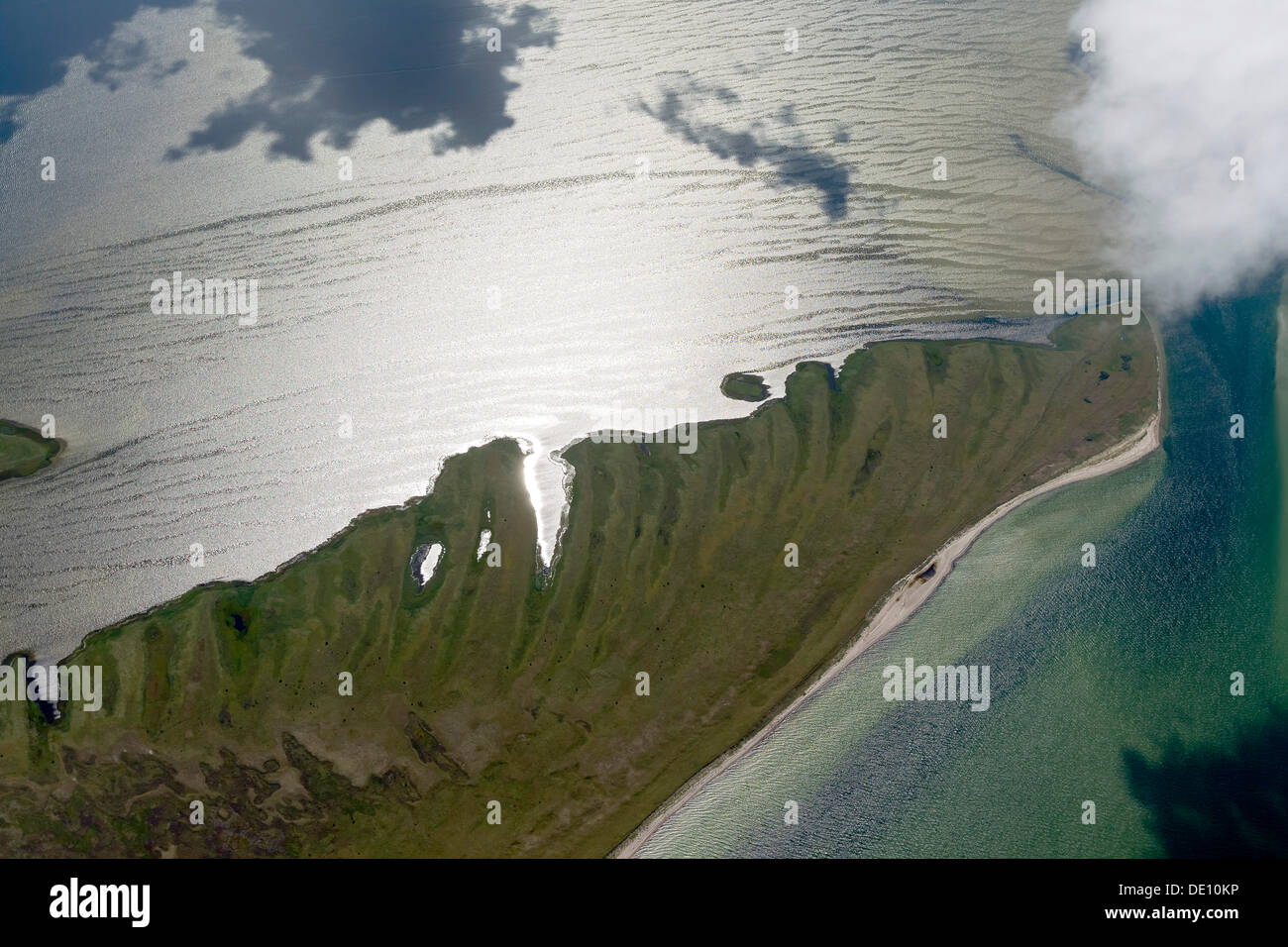 Vista aerea, a sud di Hiddensee Isola, riserve naturali di Gellen e Gaensewerder Foto Stock