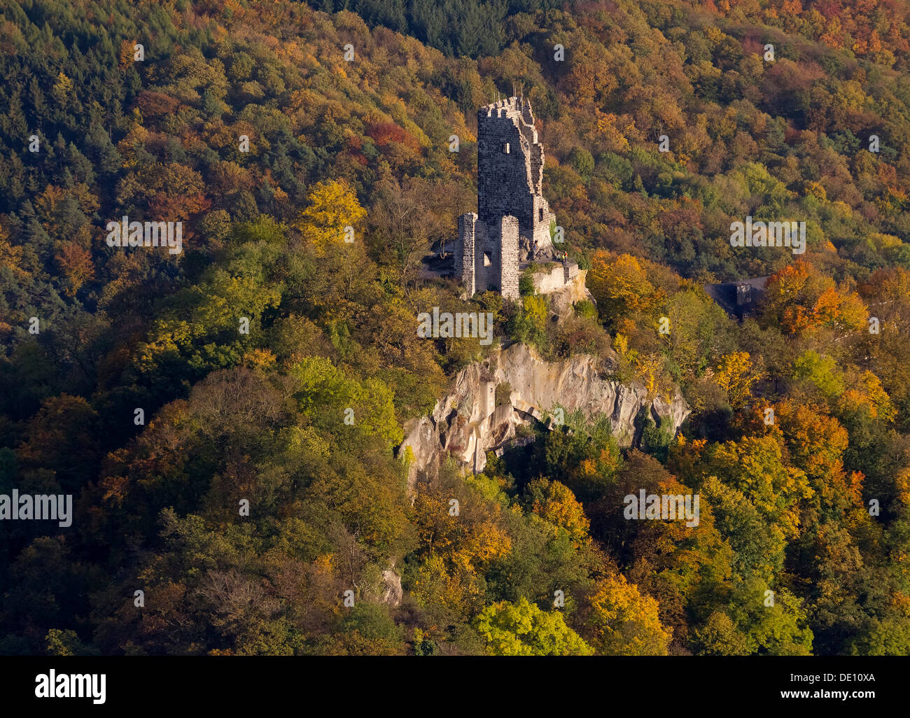 Vista aerea, Schloss Castello Drachenburg, Drachenfels, Dragon's Rock, autunno Foto Stock