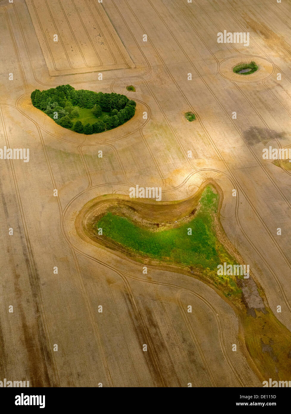 Vista aerea del campo, con la foresta di patch, Moraine Foto Stock