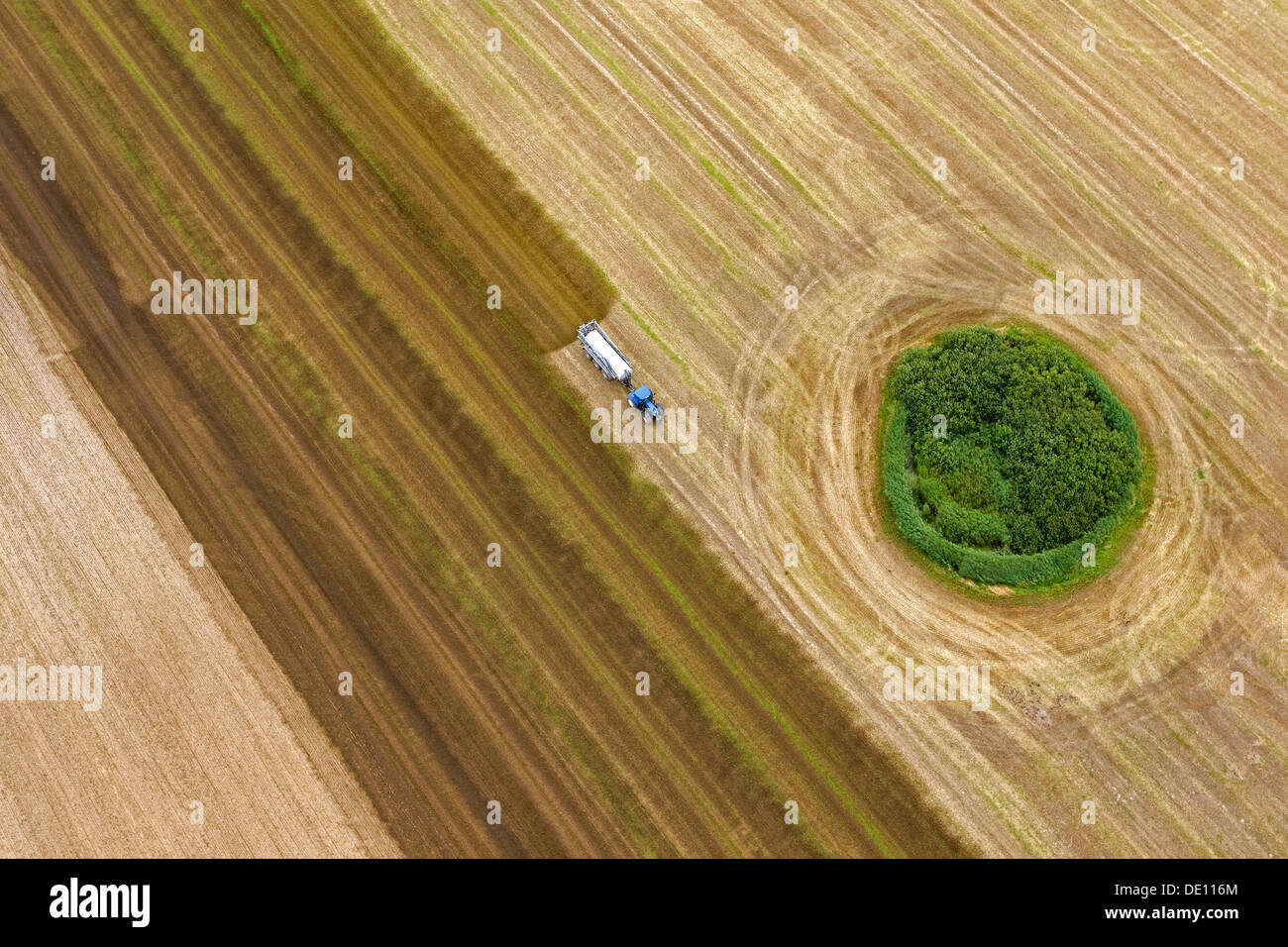 Vista aerea, campo di raccolto con una foresta isola, trattore spandimento di liquame Foto Stock