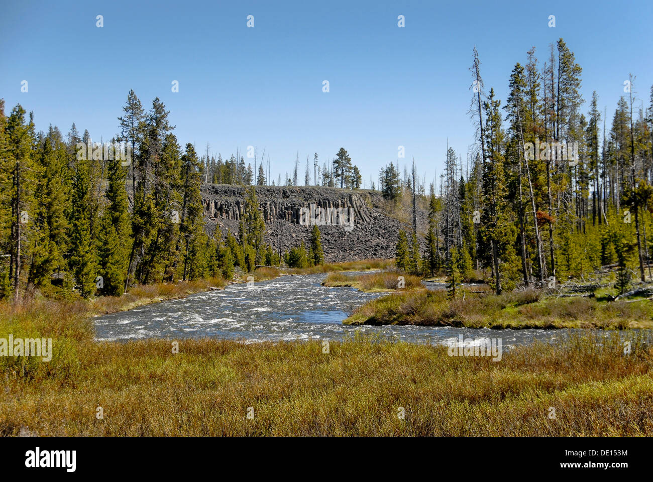 Colonne di basalto sul Sheepeater Cliff, il Parco Nazionale di Yellowstone, Wyoming USA Foto Stock