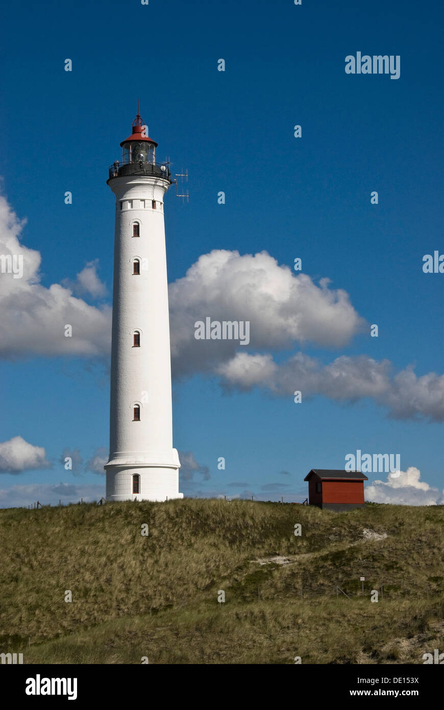 Faro in Nørre Lyngvig, Hvide Sande, nello Jutland, Danimarca, Europa Foto Stock