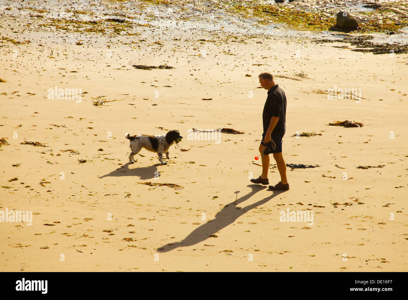 Uomo sulla spiaggia con il cane Foto Stock