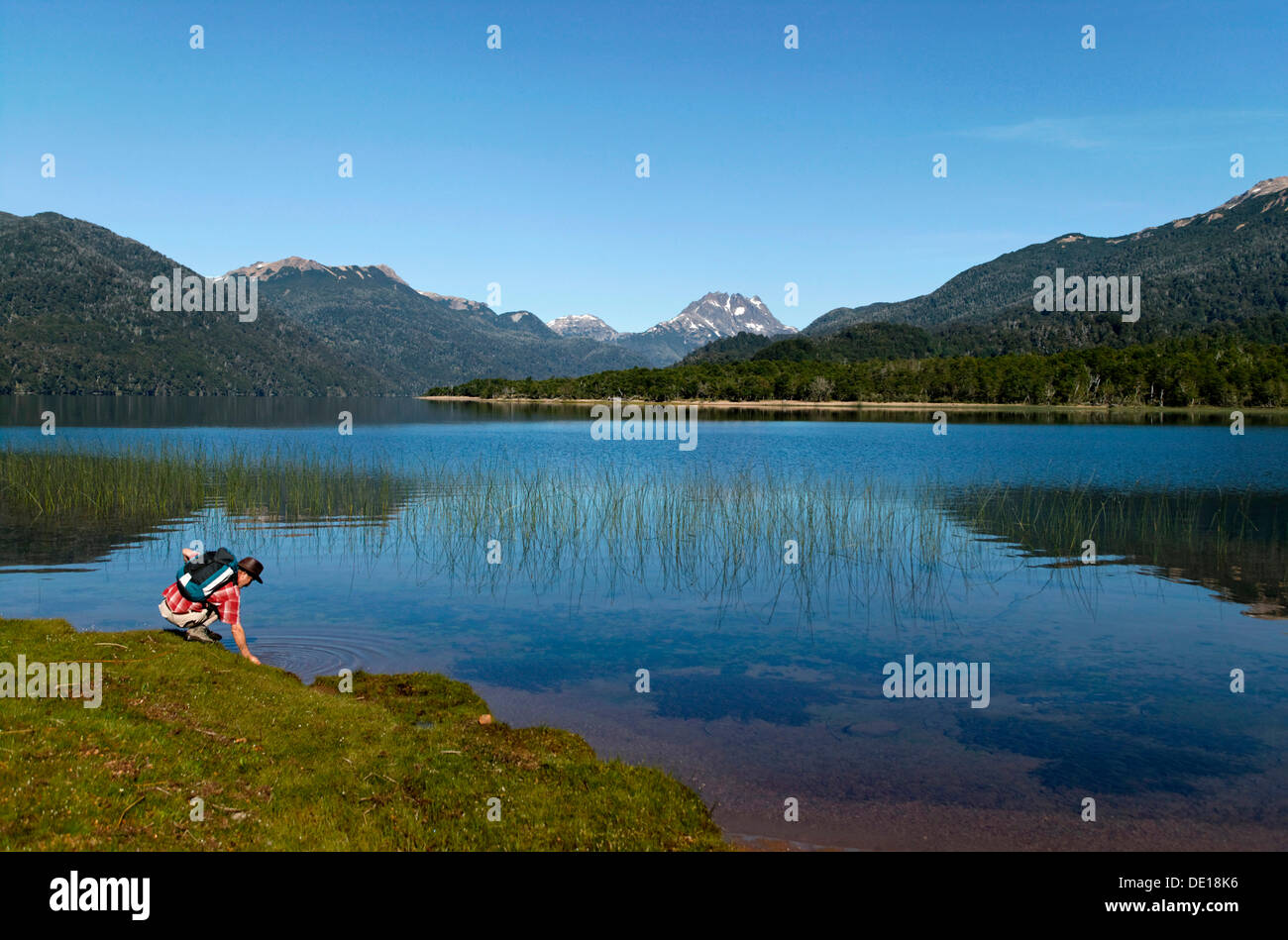 Il lago di Villarino, Parco Nazionale Nahuel Huapi, Argentina, Sud America Foto Stock