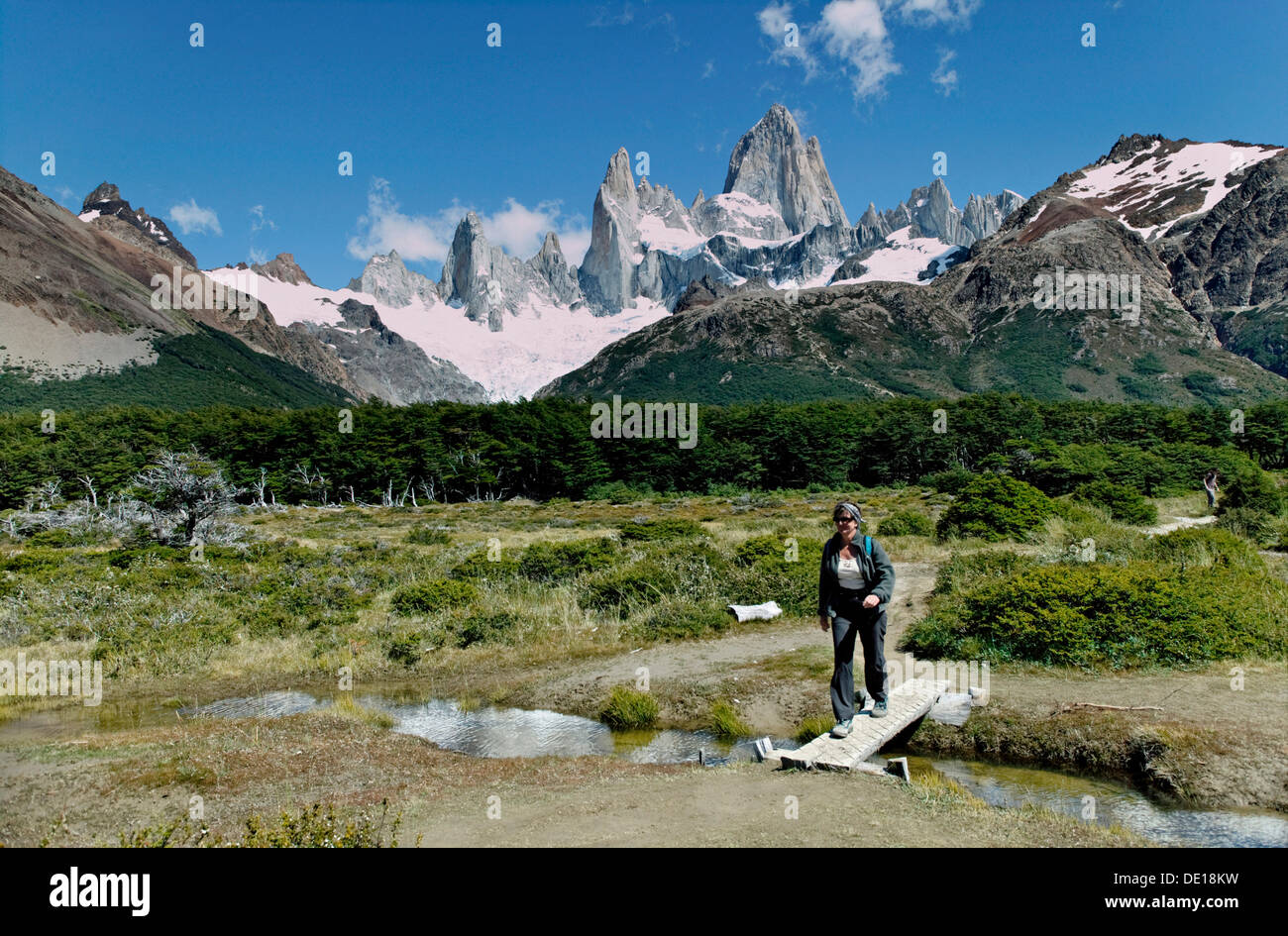 Monte Fitz Roy, vicino a El Chalten, Cordillera, parco nazionale Los Glaciares, Sito Patrimonio Mondiale dell'UNESCO, Santa Cruz provincia Foto Stock