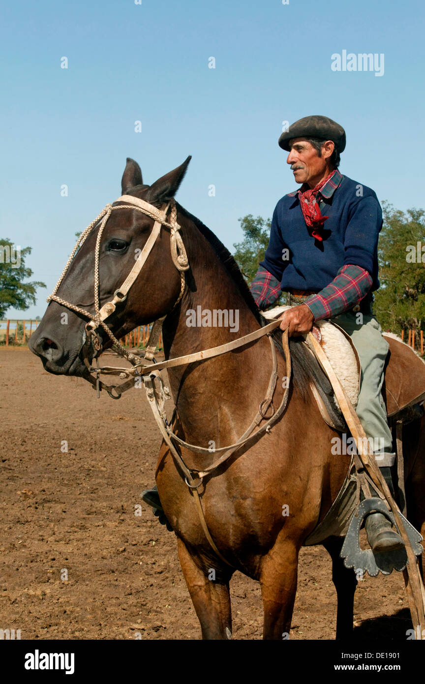 Gaucho a cavallo, Estancia San Isidro del Llano verso Carmen Casares, provincia di Buenos Aires, Argentina, Sud America Foto Stock